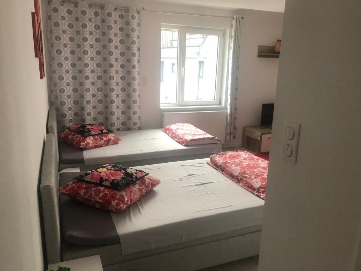 Apart Chez Willi 2 Apartment Niederschaeffolsheim Екстериор снимка